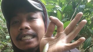 INILAH ALASAN WAWAN OMPONG WO PINDAH KONTEN MENJADI KONTEN