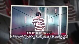 the PRIDE of TODO