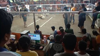 Sabungan ng MASA3