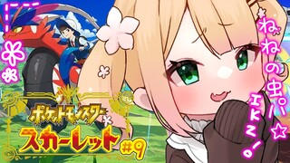 【 ポケモンSV 】スター団を秒で更生させる女９日目！【 桃鈴ねね / ホロライブ 】