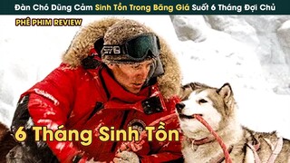 Đàn Chó Dũng Cảm Sinh Tồn Trong Băng Giá Âm 8 Độ Suốt 6 Tháng Đợi Chủ Quay Lại || Phê Phim Review