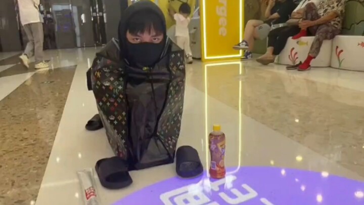 Gia Hào dòng thuần chủng thi đấu