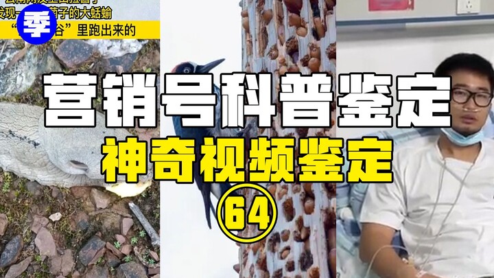 [Hot Item Review] Why Could Eating a Taro Root Be Life-Threatening? I Get the Logic—But Why Is This 