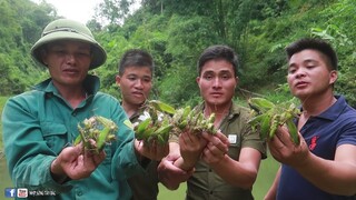 CÀO CÀO MA • Muồm Muỗm Rang