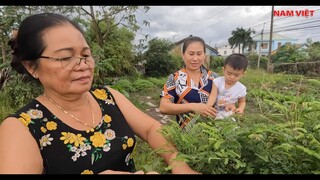 Canh chua khô dứa lá me non - cuộc sống miền nam - Nam Việt 309