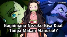 Inilah Alasan Iblis Nezuko Bisa Bertahan Hidup Tanpa Memakan Manusia!!✨