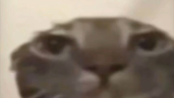 🌚