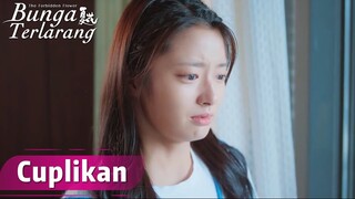 The Forbidden Flower | Cuplikan EP10 Apa Hanya Tersisa Kenangan Manis? | WeTV【INDO SUB】