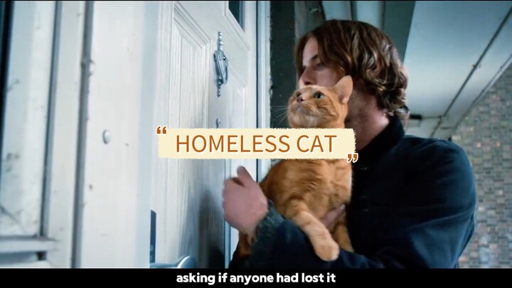 Real story of Bob the homeless cat #Movie #video #explain