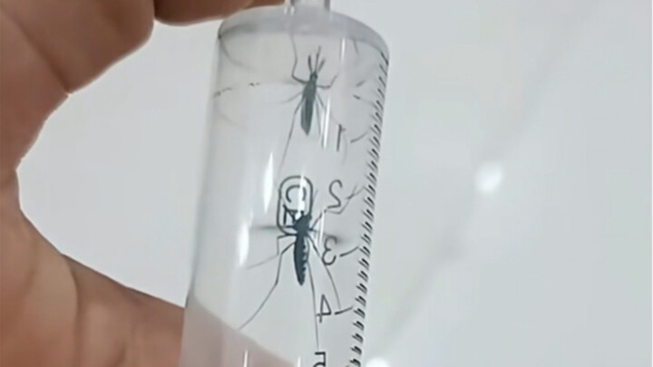 After catching a biting mosquito, use a syringe to create a vacuum and inflict revenge‑filled tormen