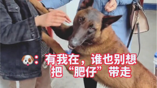 Bawan có một trái tim mạnh mẽ; hôm nay cuối cùng cũng có người đến nhận chú cáo bạc nhỏ rồi, người c