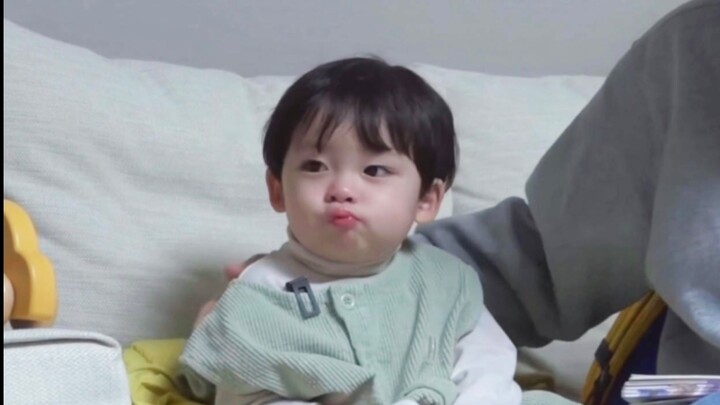 ความเคลื่อนไหวของลูกแมวน้อยจินเป่า