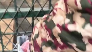 أعتقد أنه يطلب مني أن أرحل، أليس كذلك؟