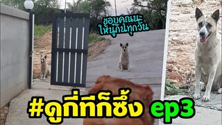 สุดซึ้งความรักของคนกับหมา วันนี้เซอร์ไพรส์นาง หมาจรธรรมดาขอบคุณfc #ดูกี่ทีก็ซึ้ง #3