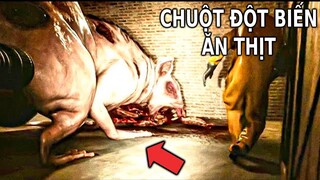 CHUỘT ĐỘT BIẾN ĂN THỊT ĐÁNG SỢ | GNDTT | Hell Underground