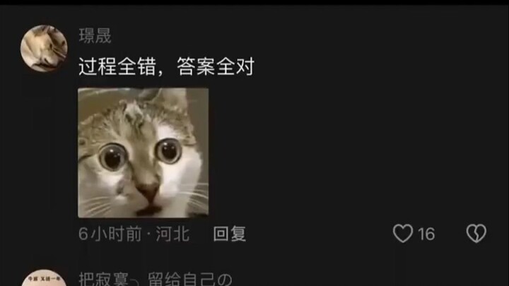 Quá trình làm đều sai, đáp án lại đúng toàn bộ