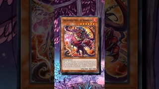 POST-BANLIST BREAKDOWN - One Minute Overview