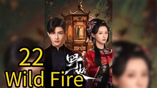 22  野火Yěhuǒ [Wild Fire].... ❤️🔥