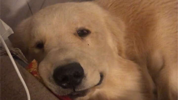 Một ngày của George