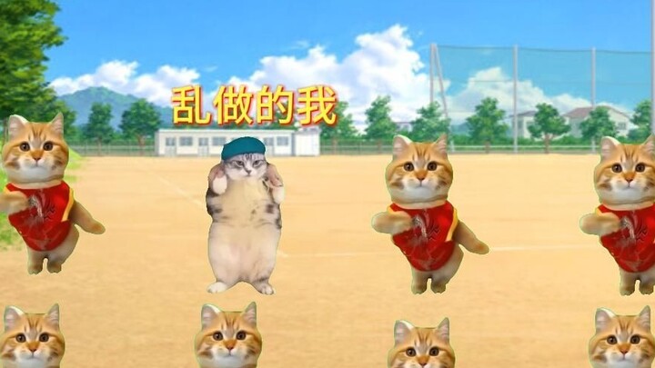 【Cat meme】The consequences of messing around during recess