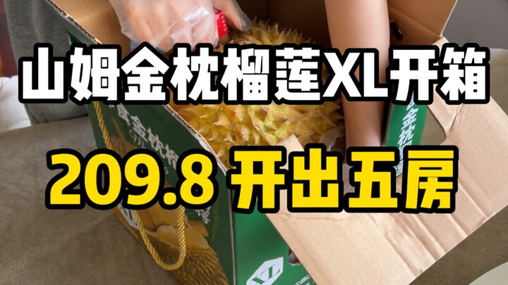 Unboxing Sam’s Club XL durian (209.8)! A 4-room pack actually yielded 5 rooms—very high flesh yield!