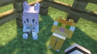 Tôi không quan tâm đến cảm nhận của mèo và chó