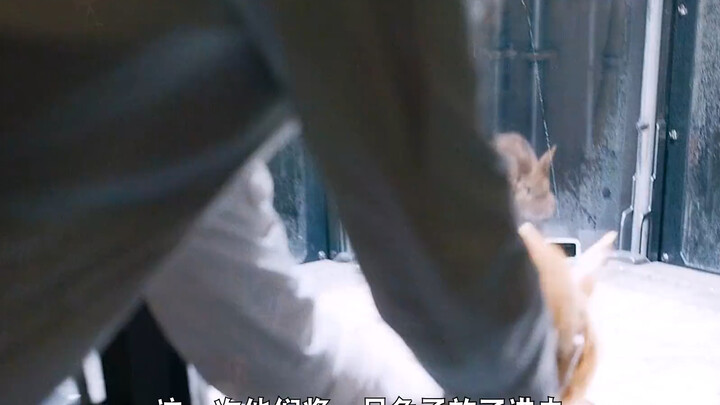 Recommended: a really great sci-fi movie, "Guardians of the Galaxy Vol. 3"