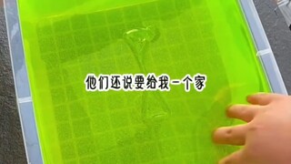 心软昭昭