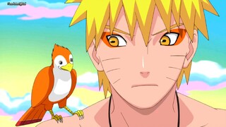 Naruto Shippuden : Episod 156 | Malay Dub|