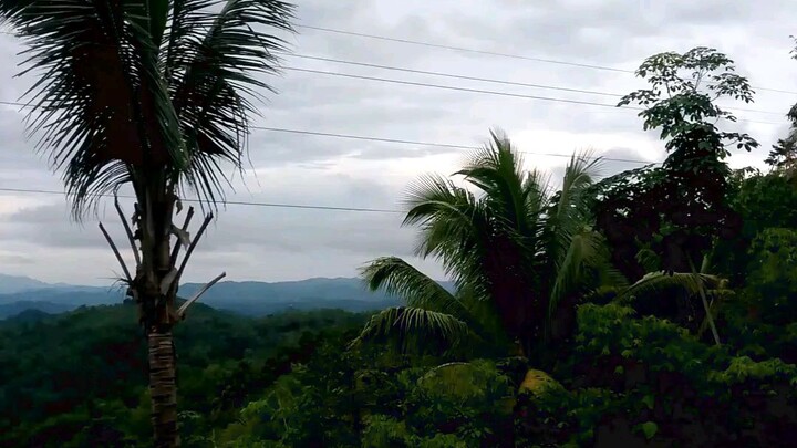 my view😊