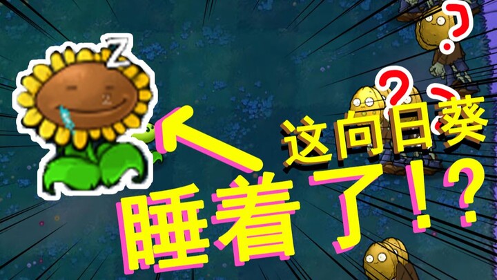 【这些植物有点憨】僵尸：这么嚣张的植物我是第一次见！