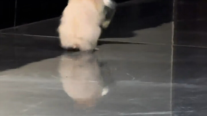 ลูกจ๋า คืนนี้จะกลับมากินข้าวมั้ย?