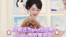 小紫还为它反嘿piupiu别听是恶评 puipiu陪姐姐上班啦哈哈哈 杨紫淘淘氧棉直播