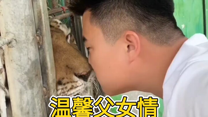 Tiểu Oai: Con cũng rất yêu bố