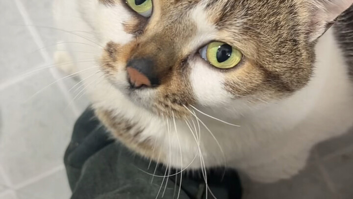 จับมั่วๆ