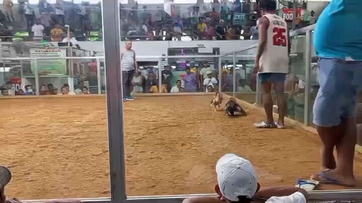 win talisayin tumakbo kalaban