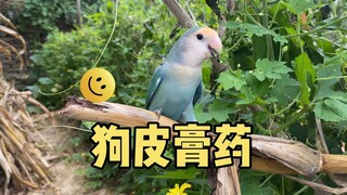 这是你给我取这个名字的理由？