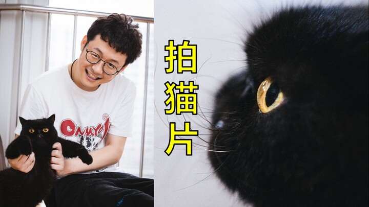 Dua ribu yuan untuk memotret foto profesional si kucing paling ‘gelap’ di Bilibili! Tingkat kesulita