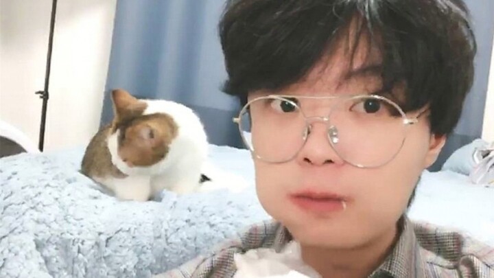 Adorable But Confusing KKZ