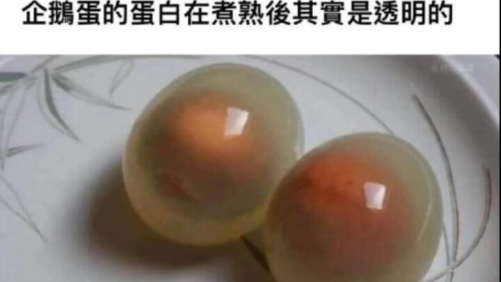 【Funeral-themed Blind Box】Cooked Penguin Eggs