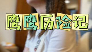Tuan, Yingying ditangkap oleh orang jahat!