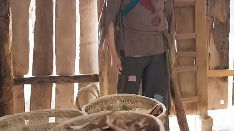 สวีหลาง_ทะลุมิติไปยุคอดอยาก_ขายสมุนไพรจนรวย