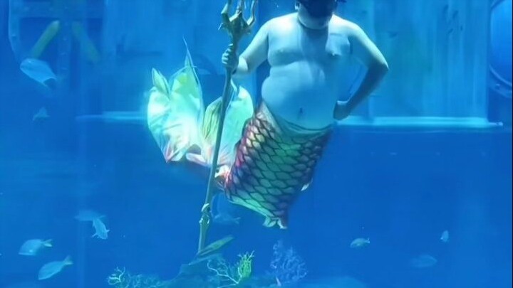 Export-to-Home-Market Series: Have you ever seen a mermaid like this?