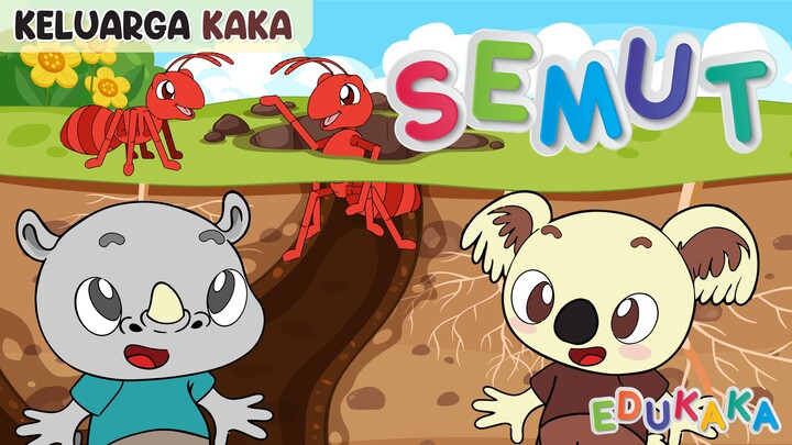 SEMUT - Kartun Lucu | Lagu Anak Indonesia | Belajar Mengenal Hewan