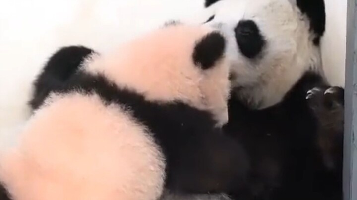 เธอผู้น่ารักกับแม่สุดแกร่ง