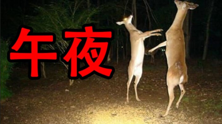 On "How to be scarier than a ghost"