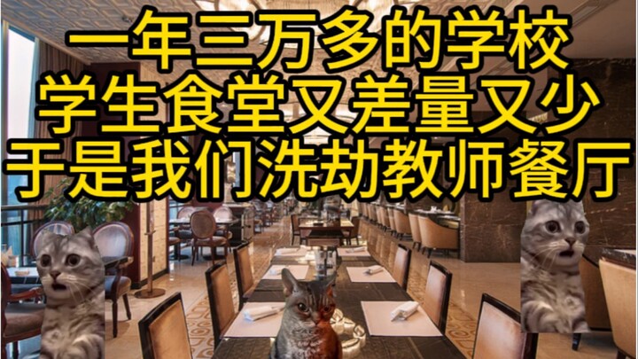 学费三万多的学校食堂又差量又少，于是学生洗劫教师餐厅。【猫meme】反叛篇-中