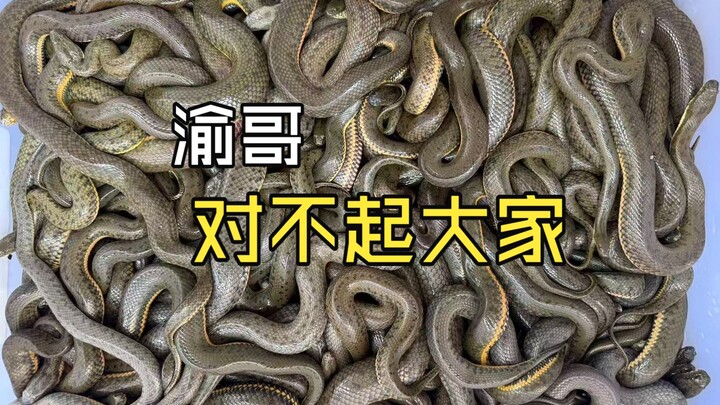 Anh Du, năng lực của tôi có vấn đề, nhưng nhân phẩm thì không, các bạn thấy sao?