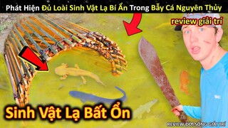 Phát Hiện Loài Sinh Vật Lạ Bí Ẩn Trong Bẫy Cá Nguyên Thủy Tự Chế || Review Giải Trí Đời Sống
