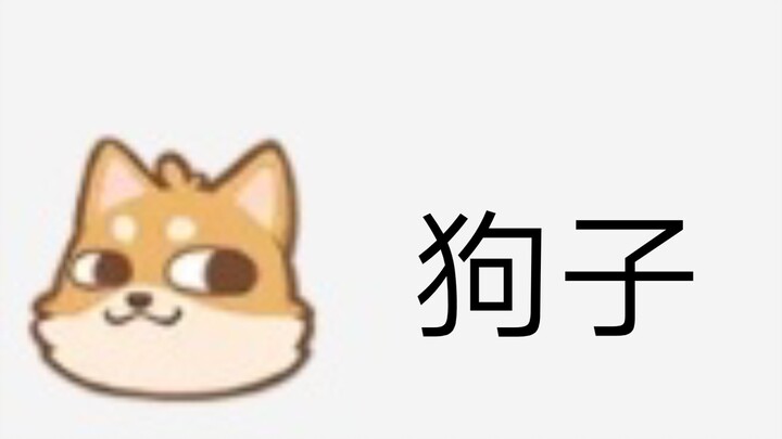 【Ciri khas Bilibili】Meme anjing kita telah dihapus